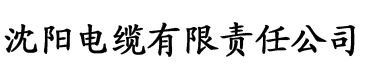 91香蕉视频骚电缆厂logo